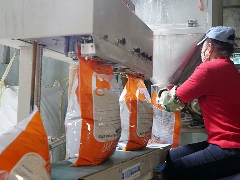 Cat Litter Producing Cat Litter Producing